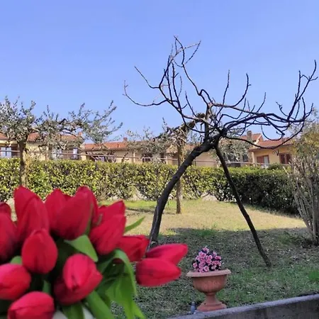 Feel At - Letizia House Апартаменты *